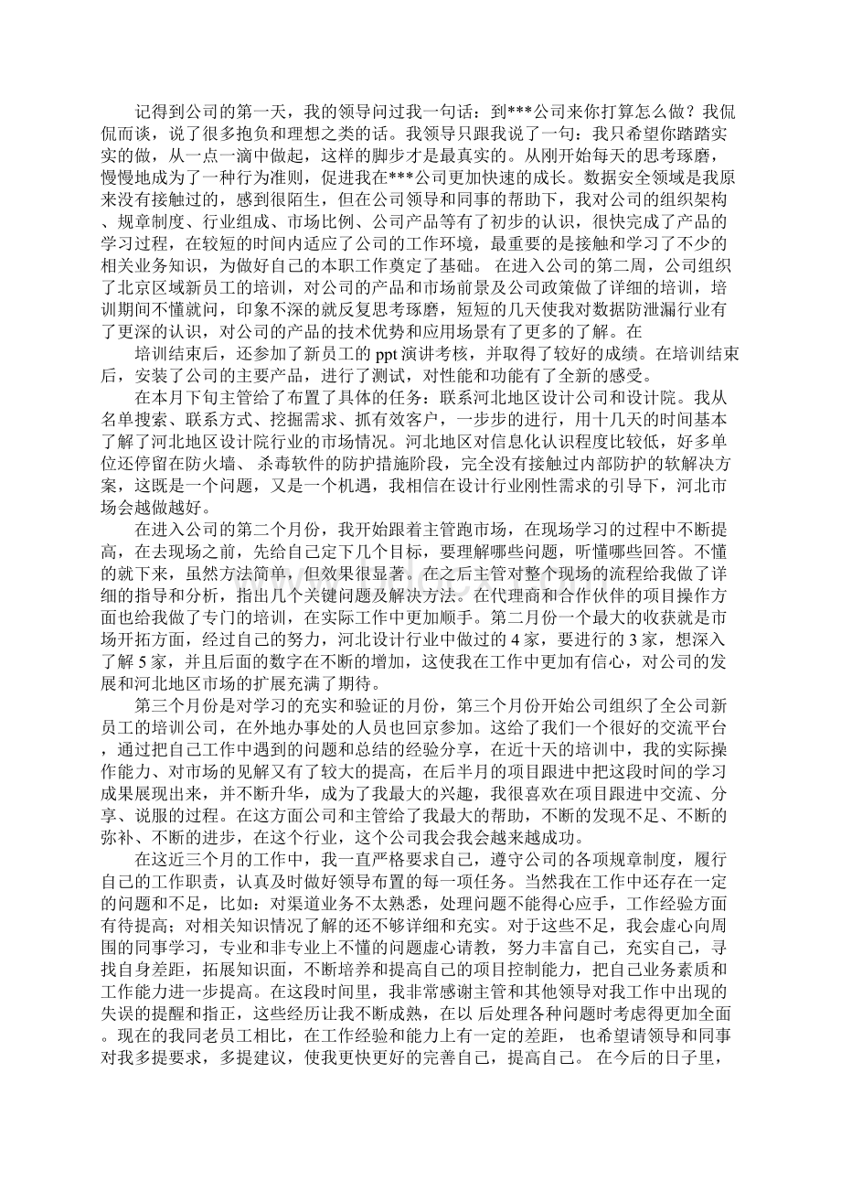 销售业务员试用期工作总结文档格式.docx_第3页