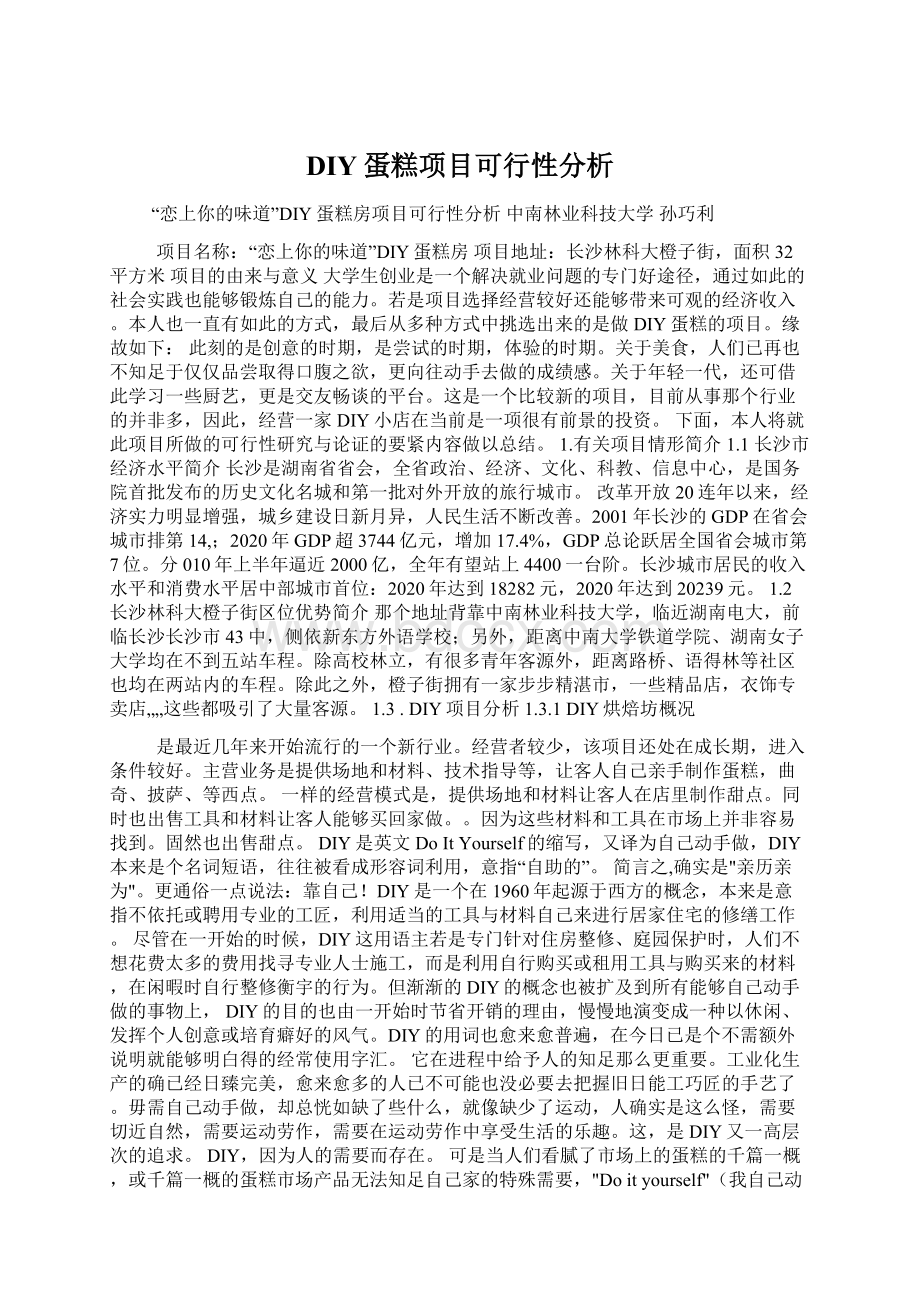 DIY蛋糕项目可行性分析.docx