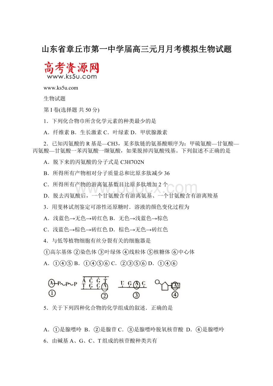 山东省章丘市第一中学届高三元月月考模拟生物试题.docx