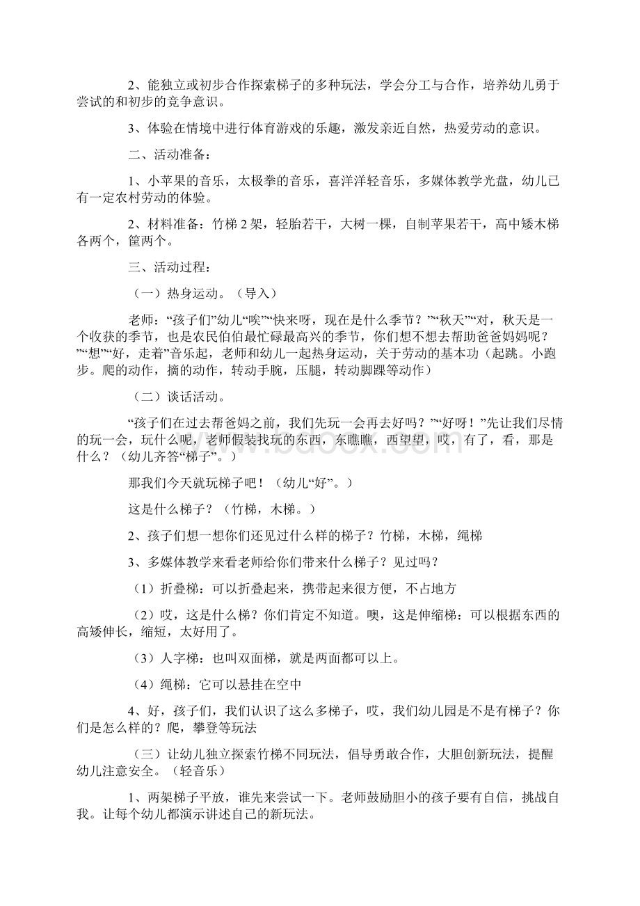 梯子游戏大班教案.docx_第3页