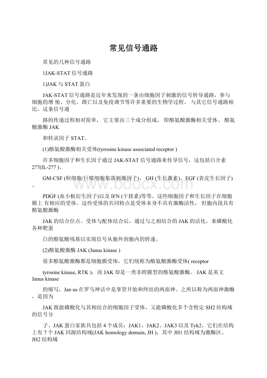 常见信号通路Word文档格式.docx