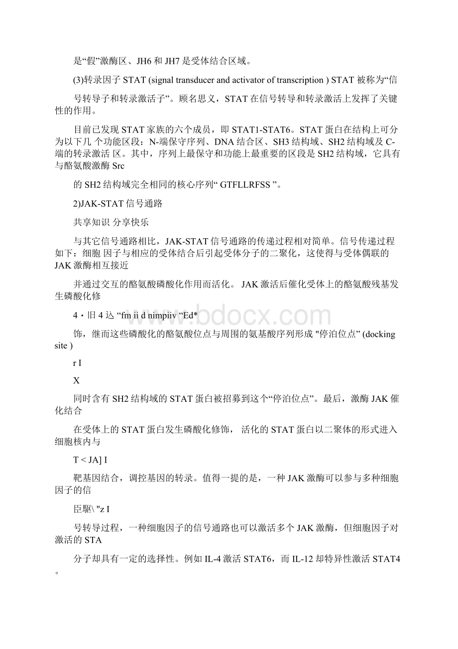 常见信号通路Word文档格式.docx_第2页