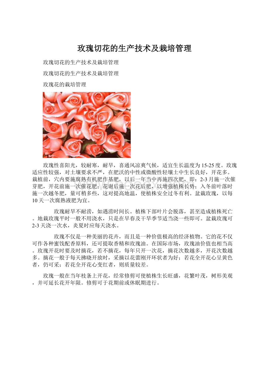 玫瑰切花的生产技术及栽培管理.docx