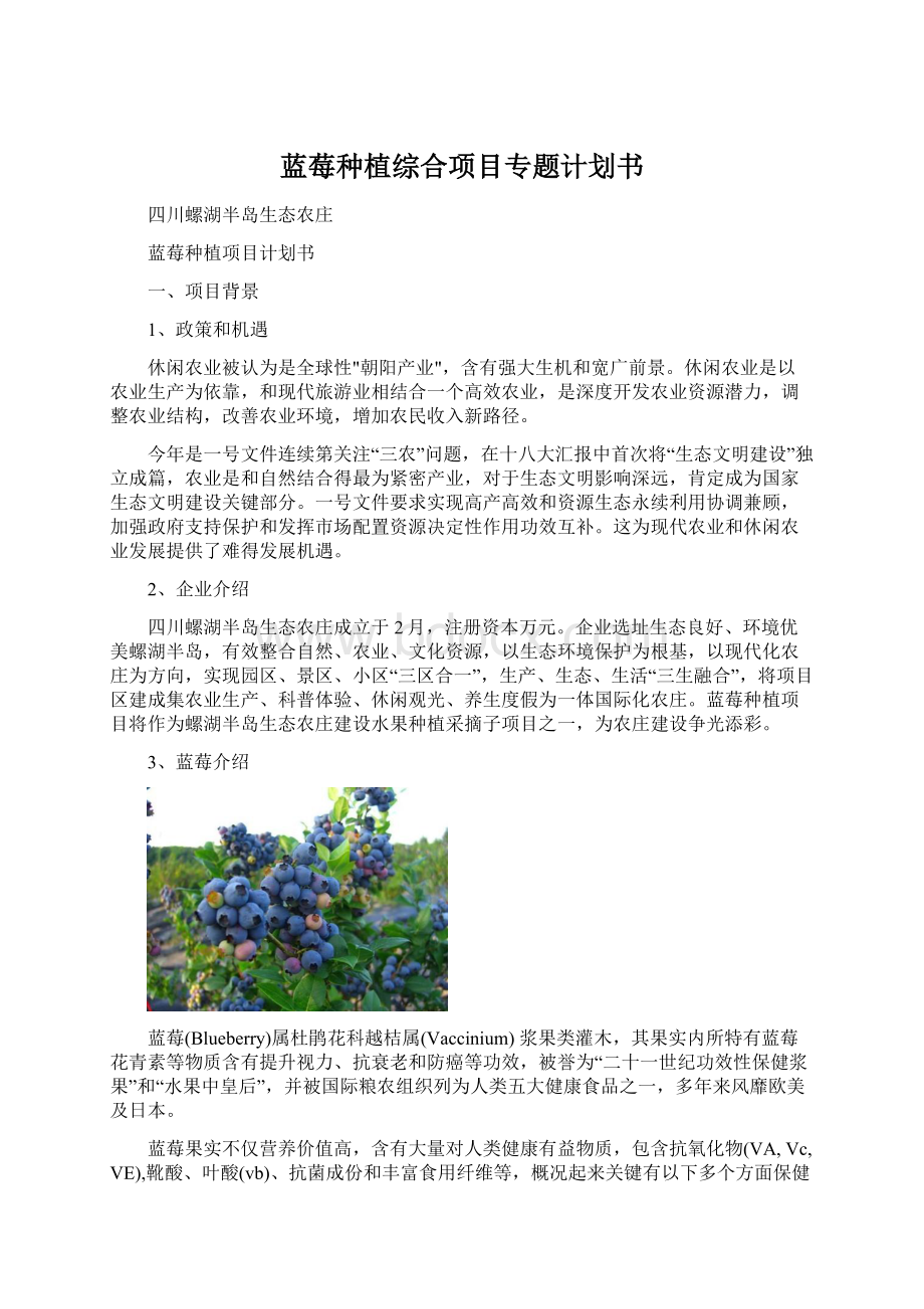 蓝莓种植综合项目专题计划书Word格式.docx