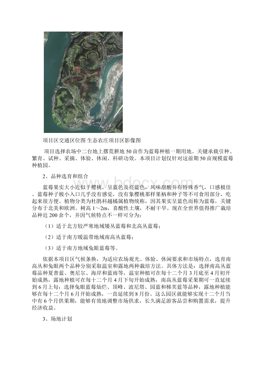 蓝莓种植综合项目专题计划书.docx_第3页