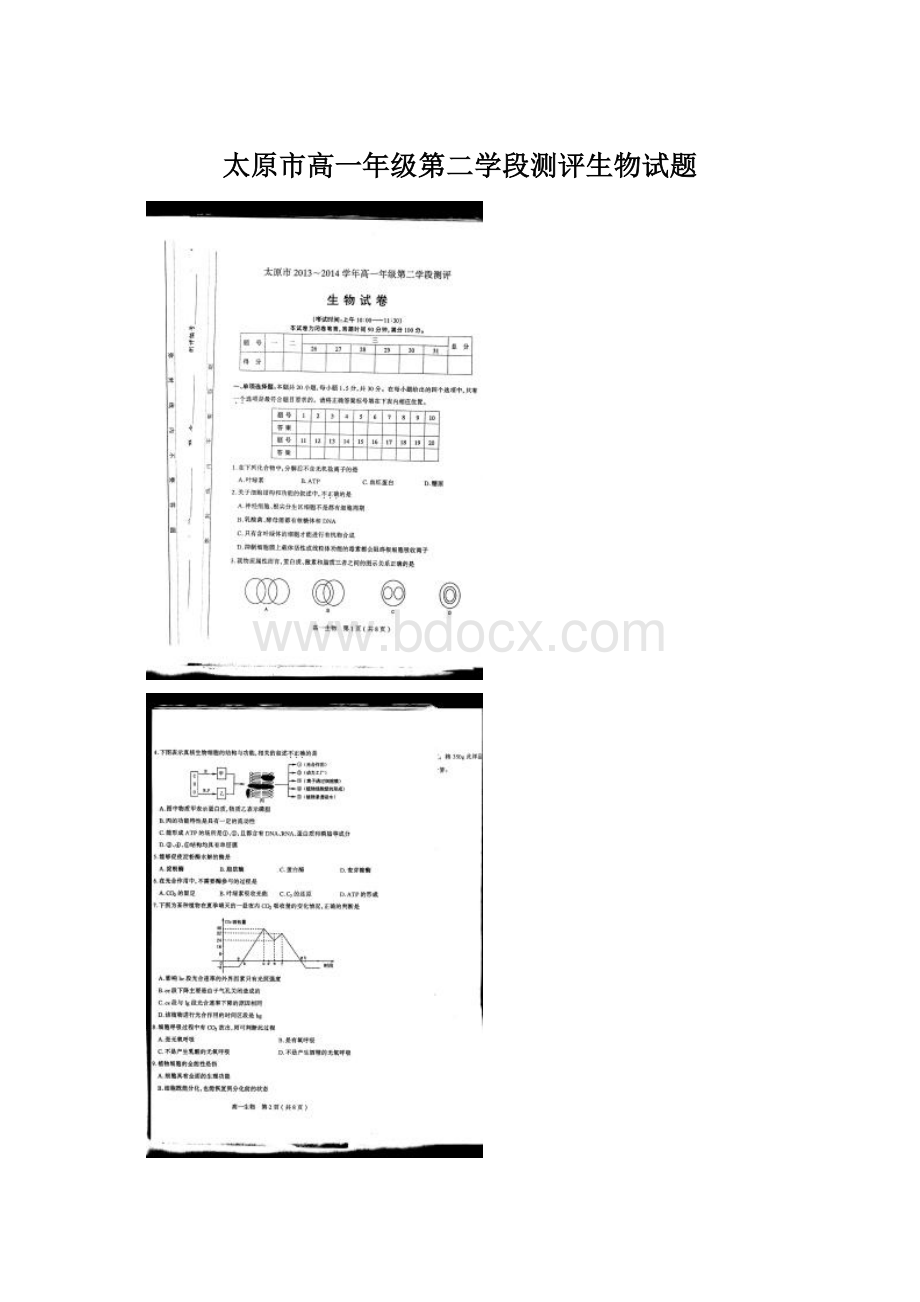 太原市高一年级第二学段测评生物试题Word下载.docx