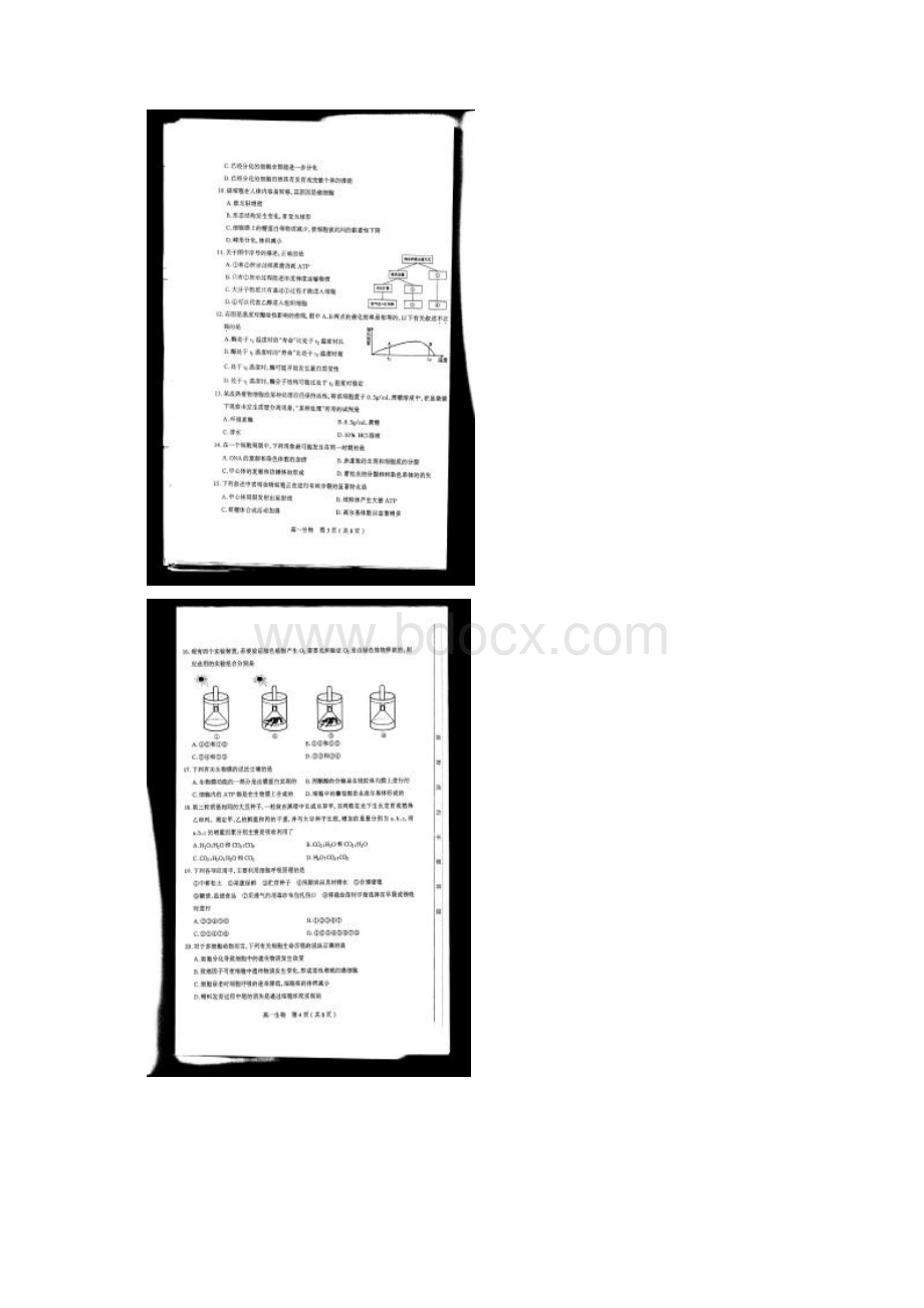 太原市高一年级第二学段测评生物试题Word下载.docx_第2页