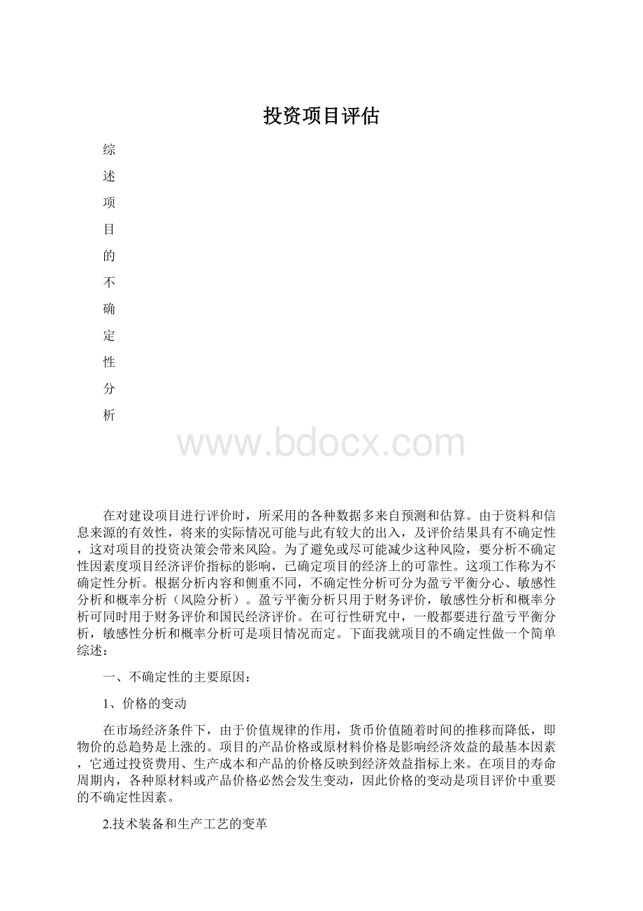 投资项目评估Word格式.docx