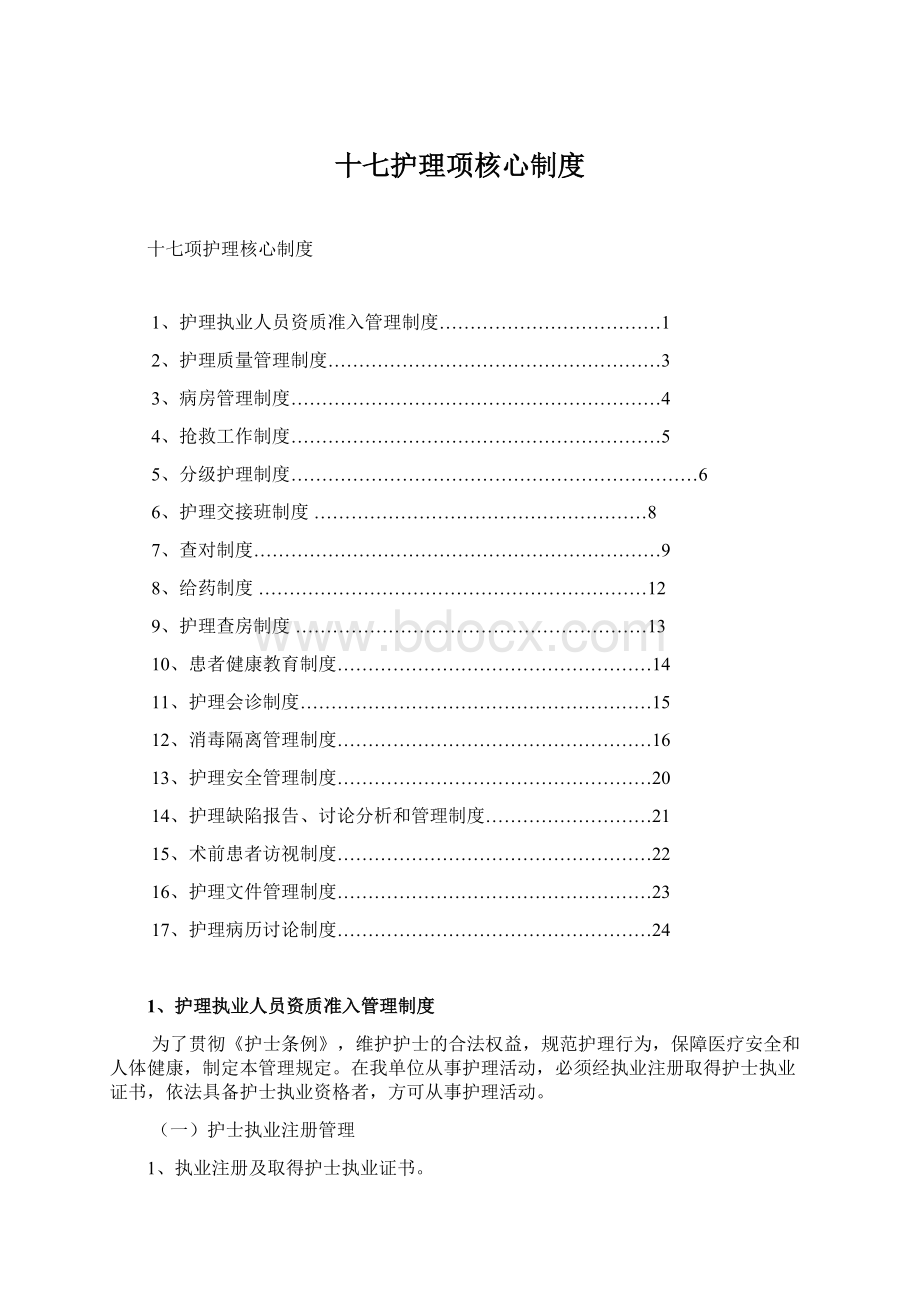 十七护理项核心制度.docx_第1页