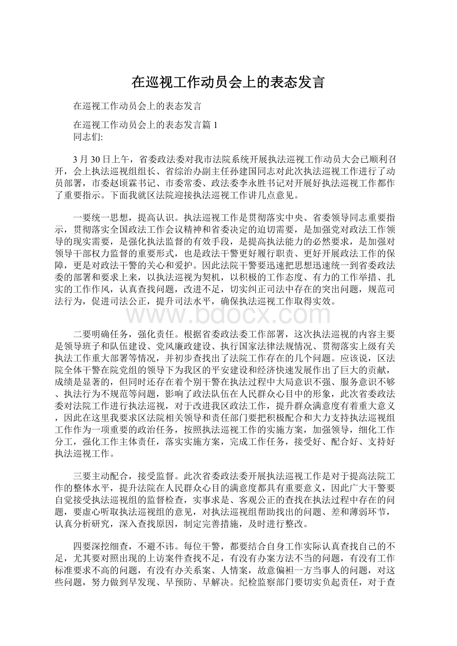 在巡视工作动员会上的表态发言Word格式文档下载.docx