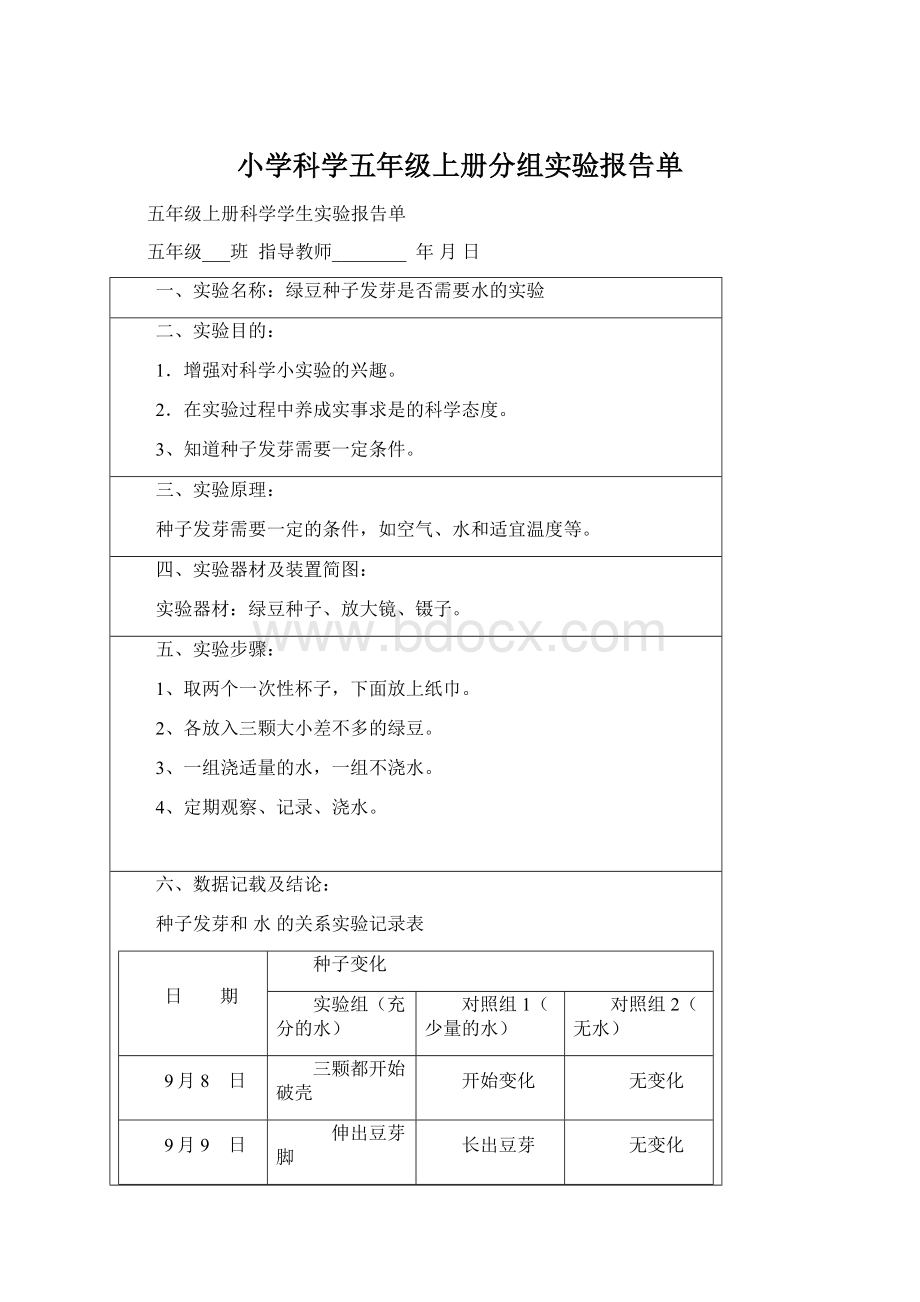 小学科学五年级上册分组实验报告单Word下载.docx