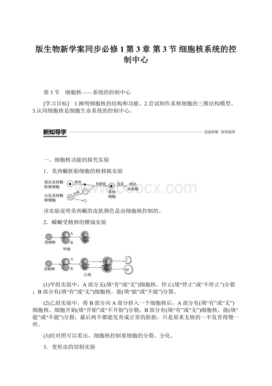 版生物新学案同步必修1第3章 第3节 细胞核系统的控制中心.docx