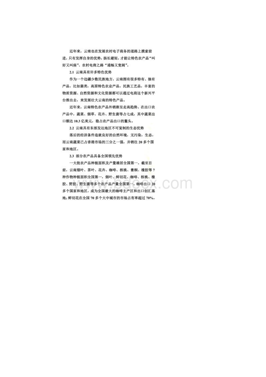 推进云南农村电子商务发展的对策建议Word格式文档下载.docx_第2页