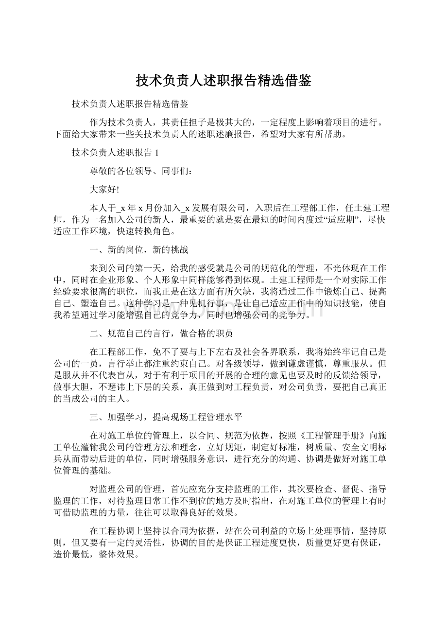 技术负责人述职报告精选借鉴.docx_第1页