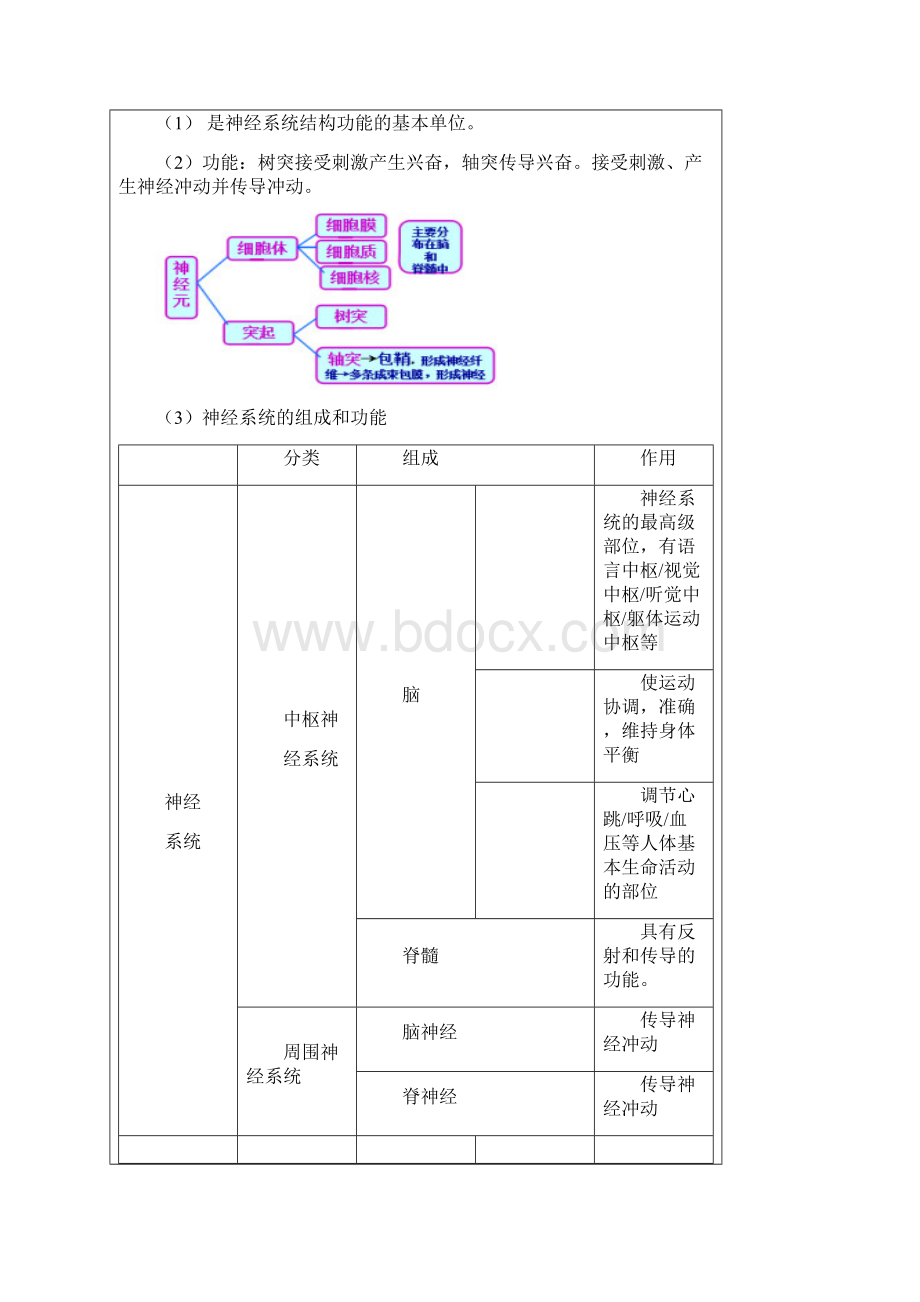 浙教版科学八年级上第三章讲义生命活动.docx_第3页