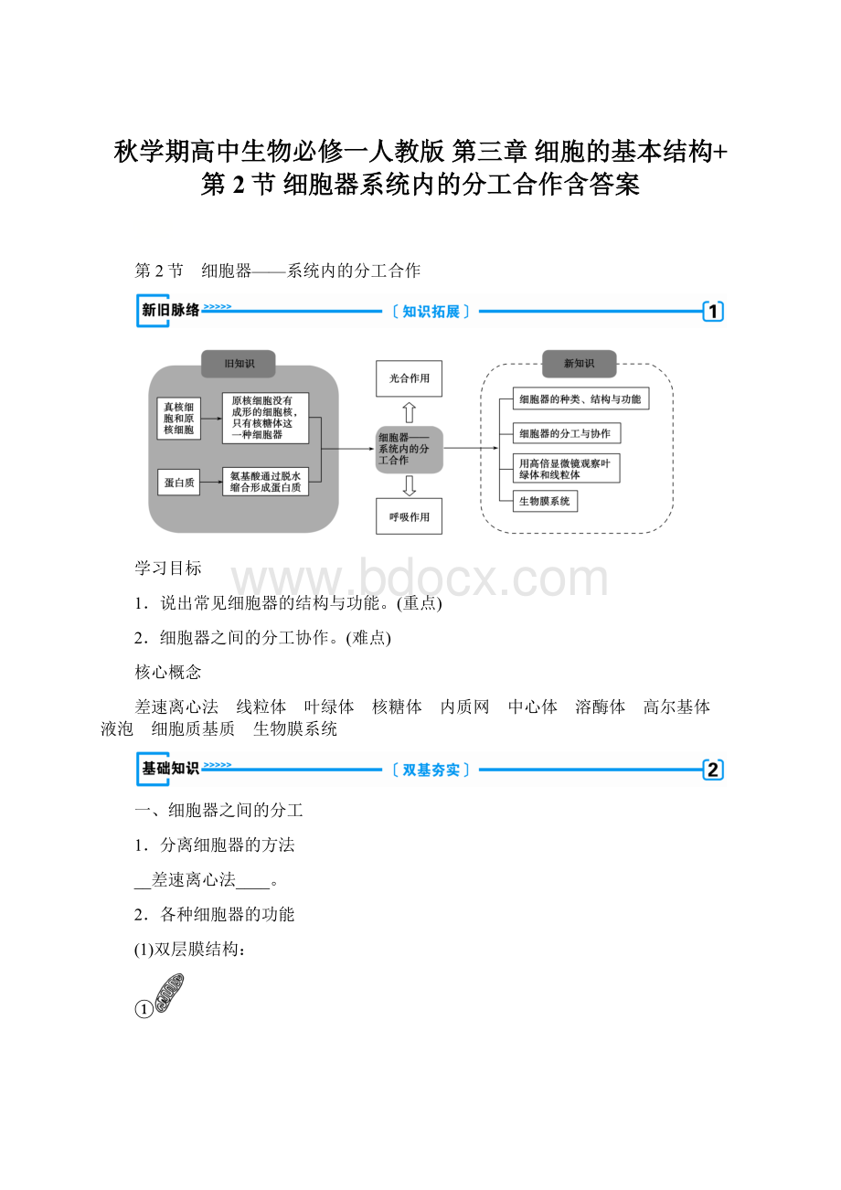 秋学期高中生物必修一人教版 第三章 细胞的基本结构+第2节 细胞器系统内的分工合作含答案.docx_第1页
