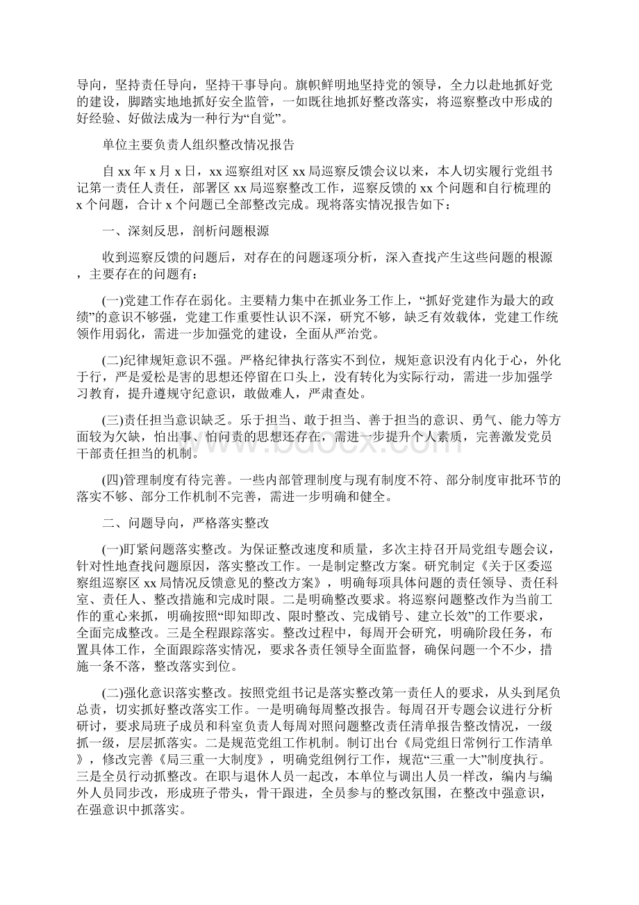 单位主要负责人组织整改情况报告.docx_第3页