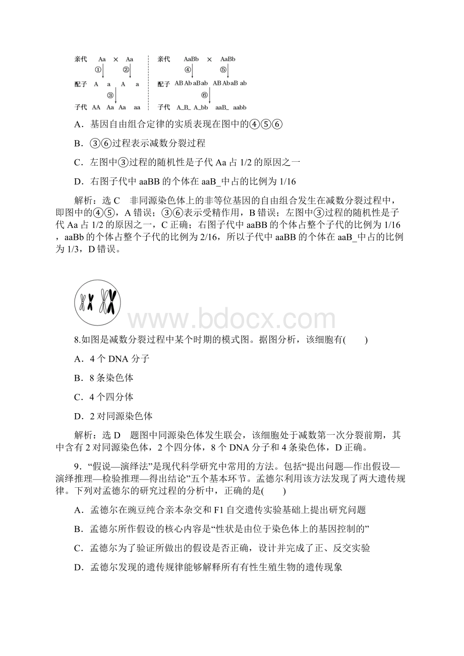 学年高中生物浙科版必修二学案模块综合检测 Word版含答案.docx_第3页