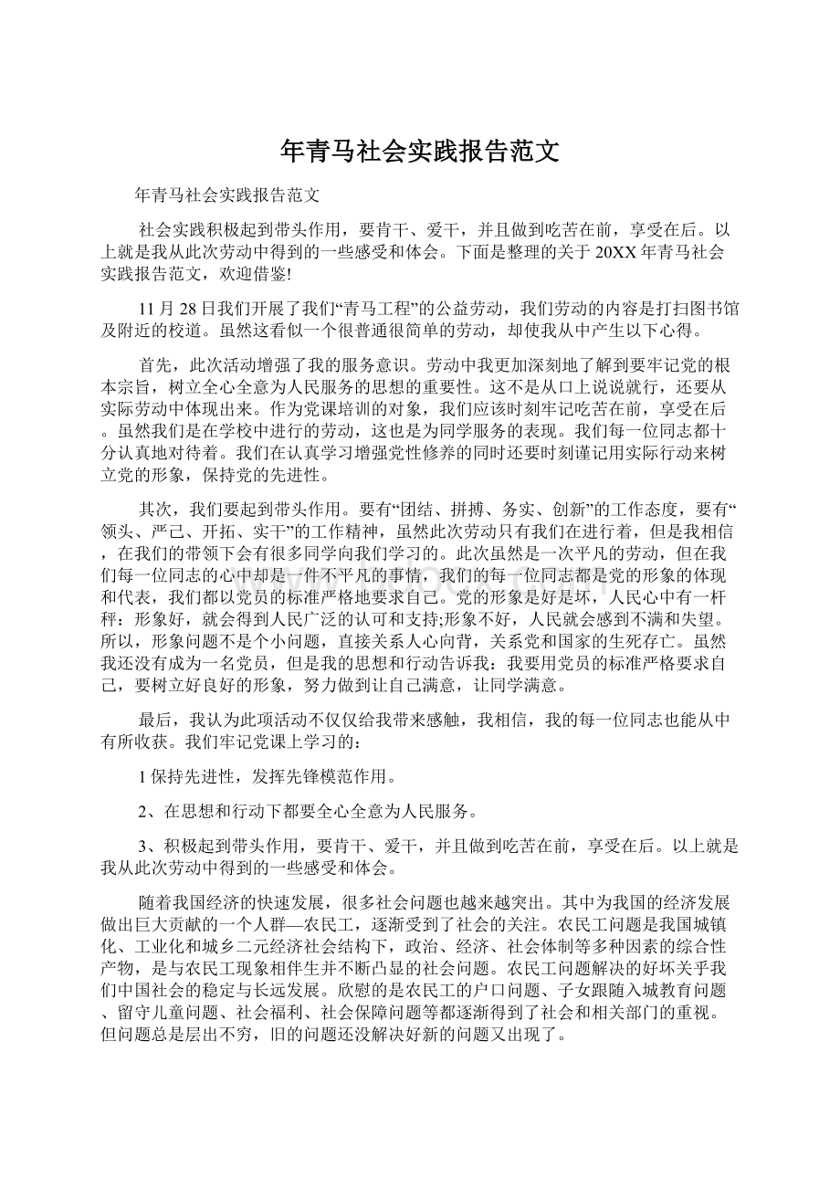 年青马社会实践报告范文Word文档格式.docx