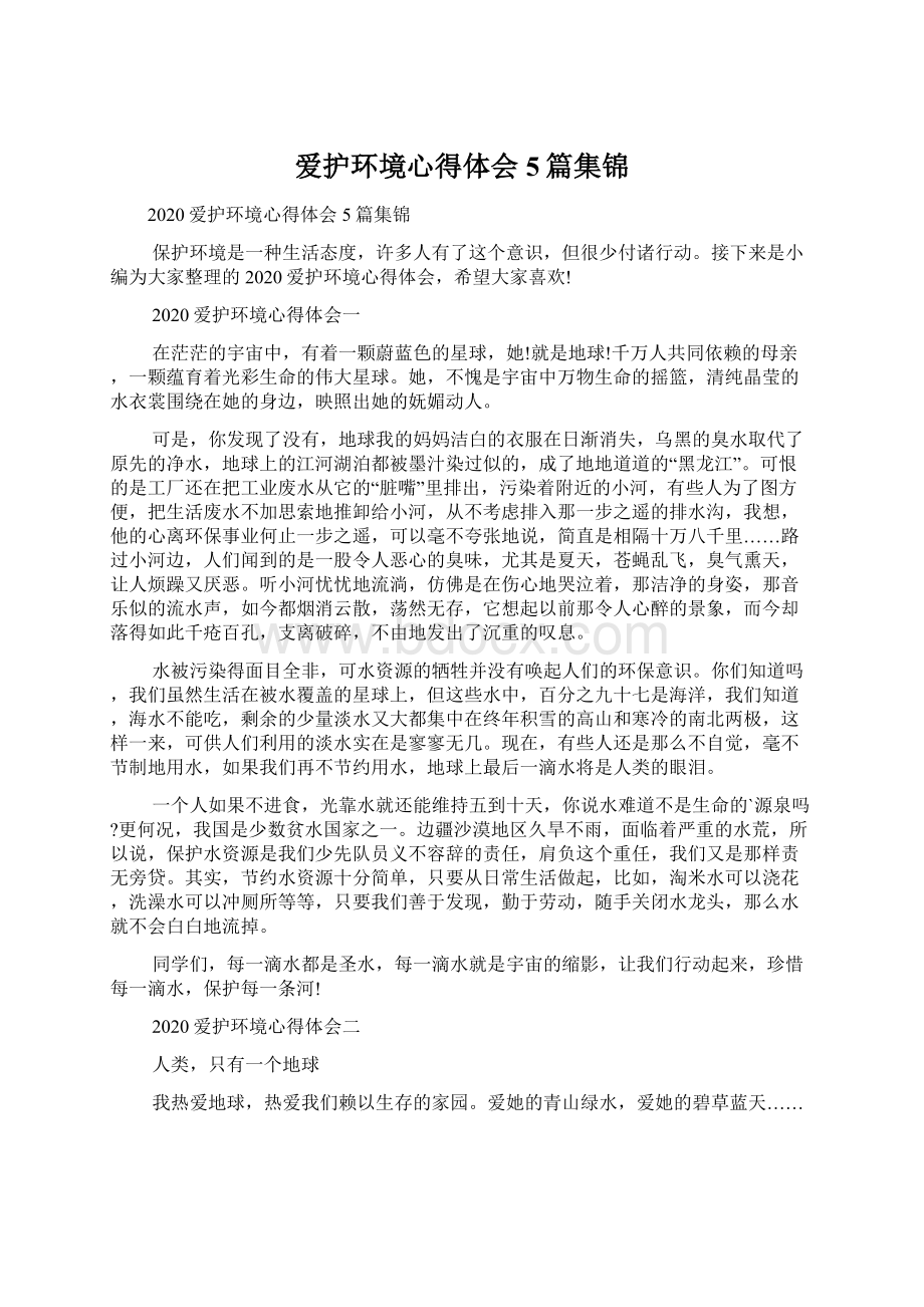 爱护环境心得体会5篇集锦.docx