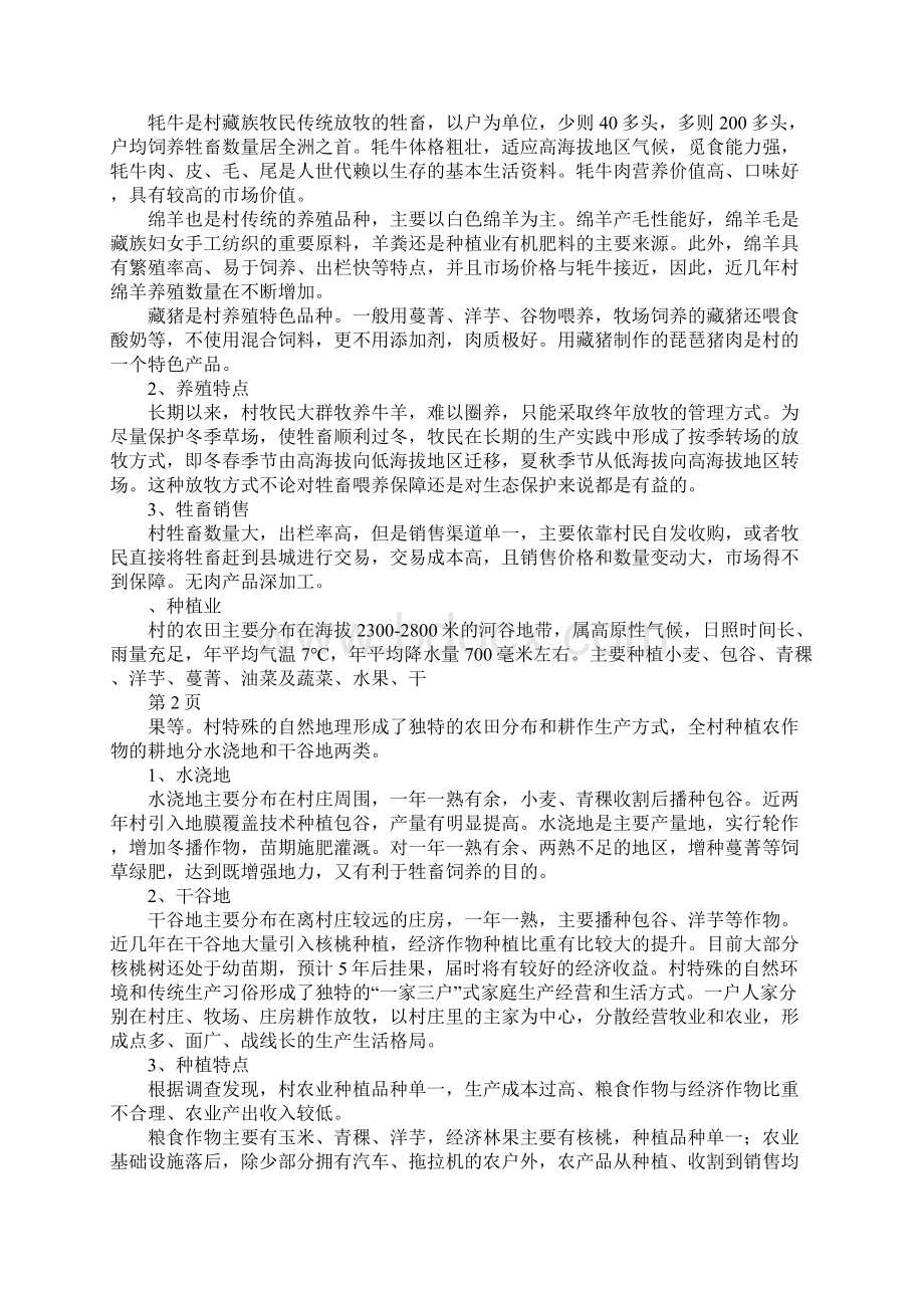 新农村建设指导员农村调研报告.docx_第2页