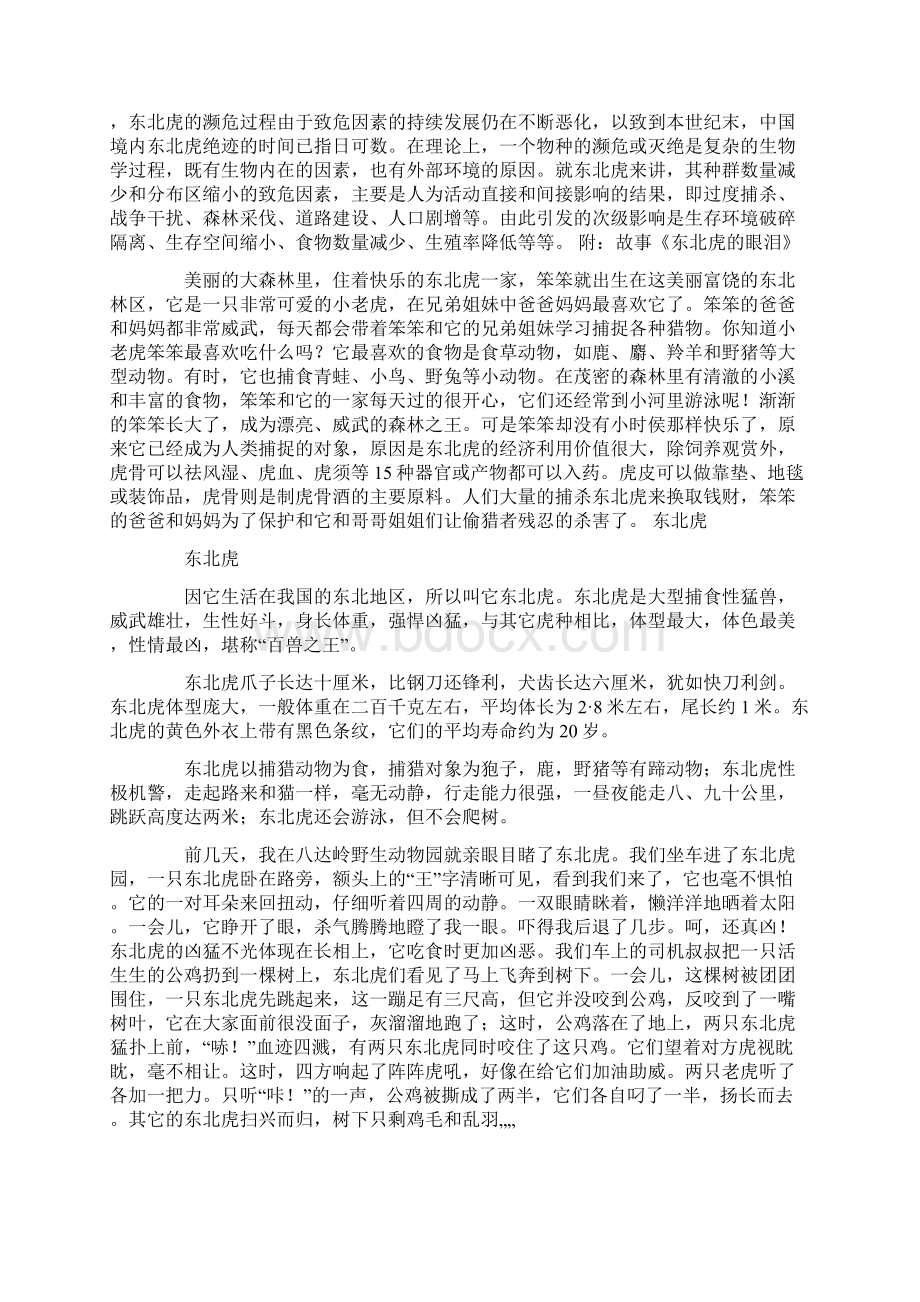 东北虎的资料.docx_第2页