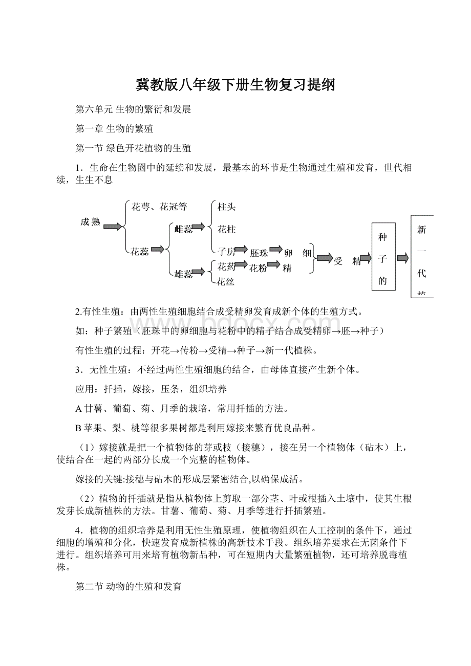 冀教版八年级下册生物复习提纲.docx