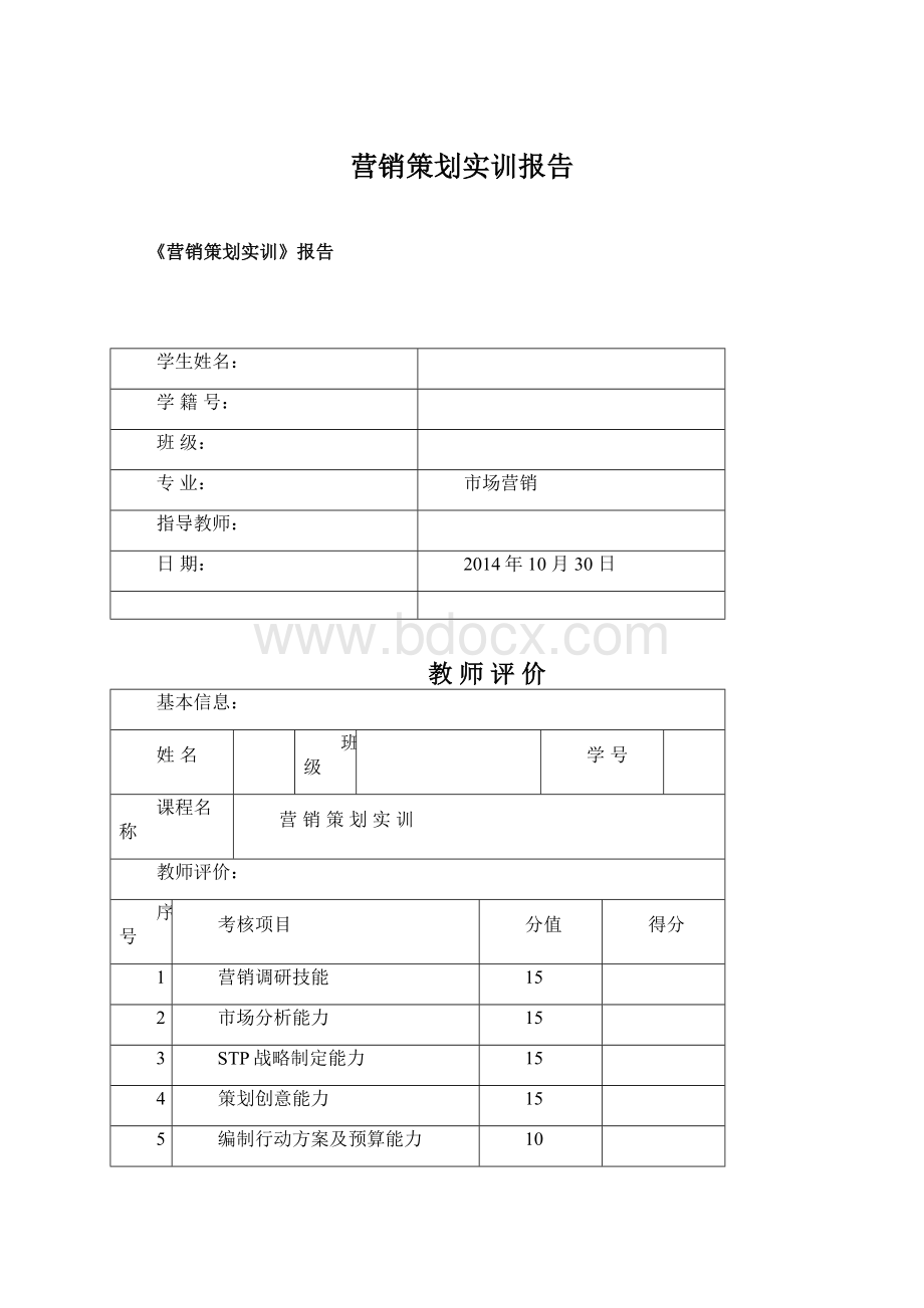 营销策划实训报告Word文档下载推荐.docx