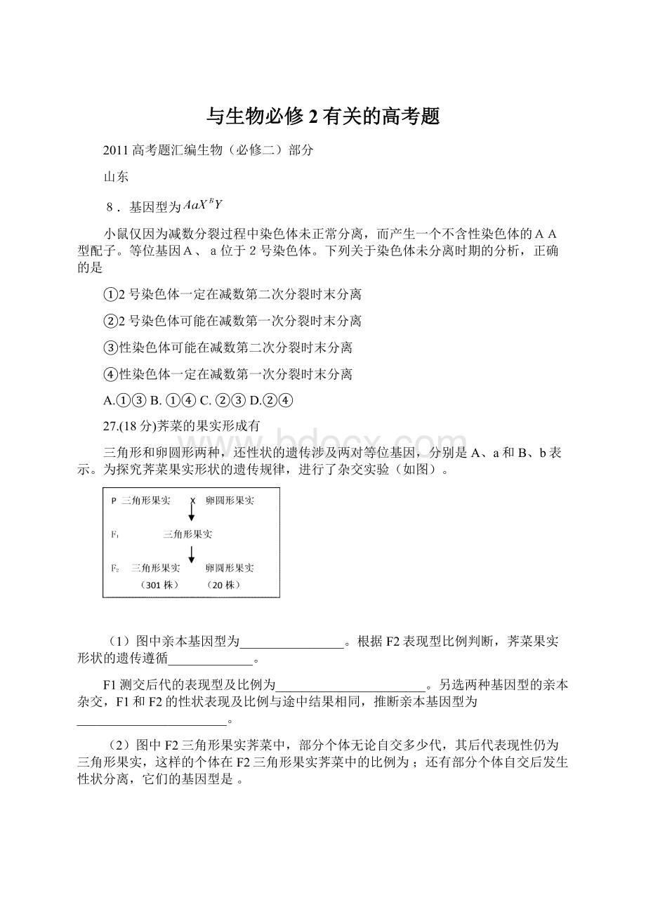 与生物必修2有关的高考题Word下载.docx_第1页