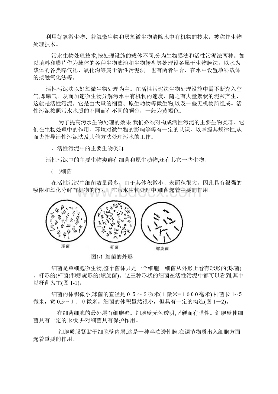 活性污泥微生物学实际经验总结绝对实用Word文档下载推荐.docx_第2页