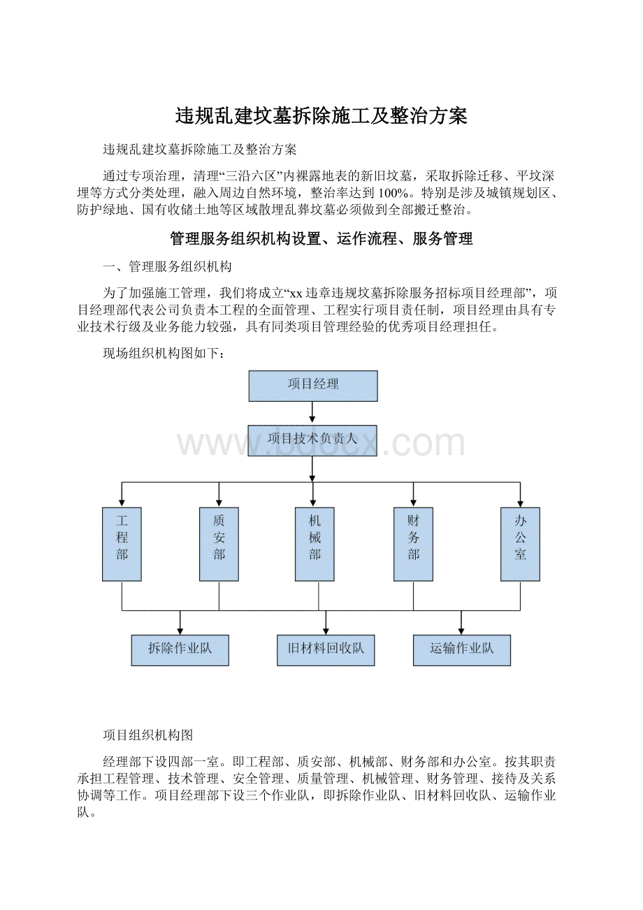 违规乱建坟墓拆除施工及整治方案Word格式.docx_第1页