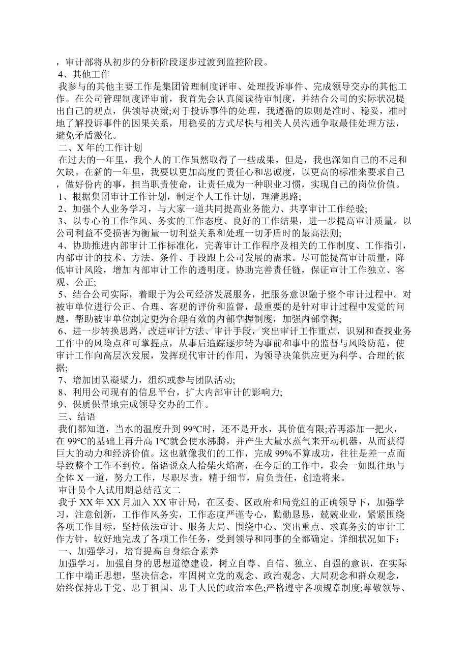 审计员个人试用期总结.docx_第3页