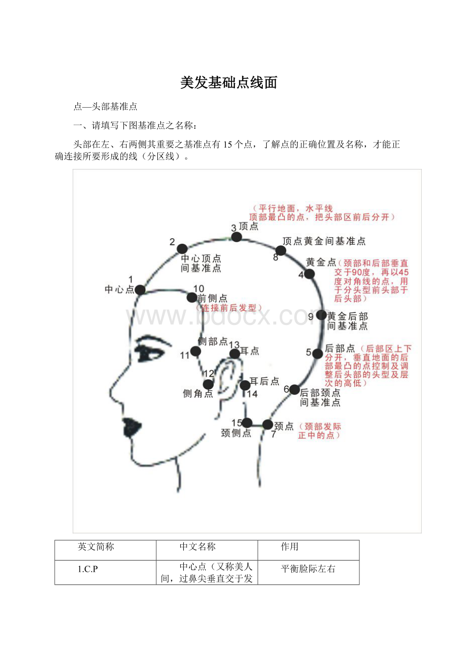 美发基础点线面文档格式.docx