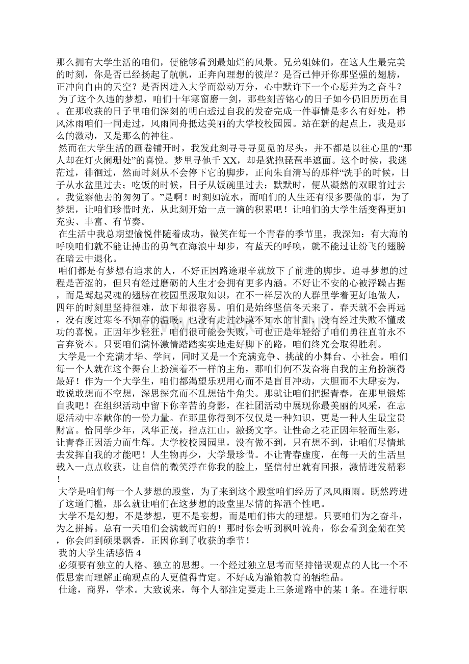 我的大学生活感悟集锦9篇.docx_第3页