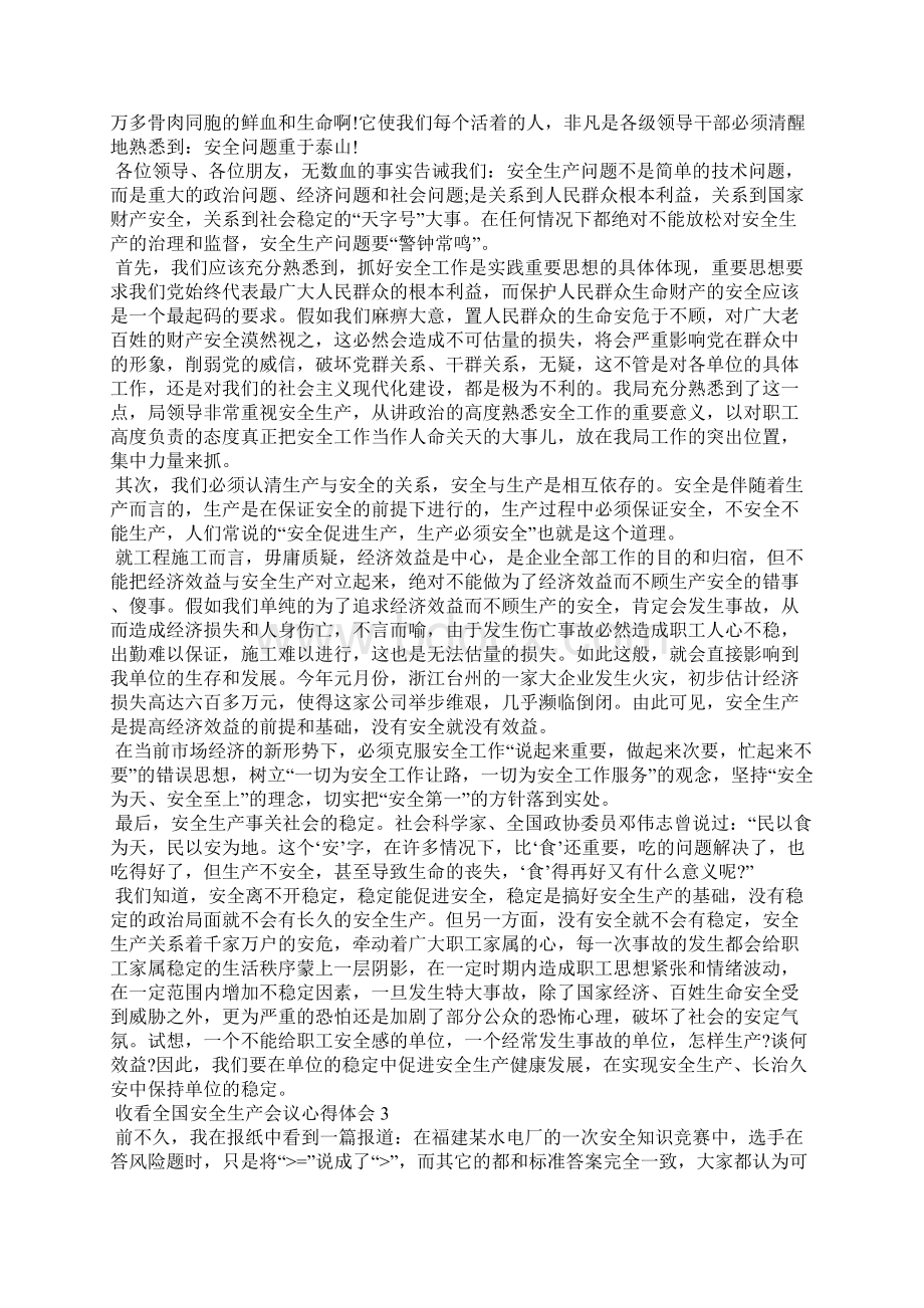 收看全国安全生产会议心得体会5篇.docx_第2页