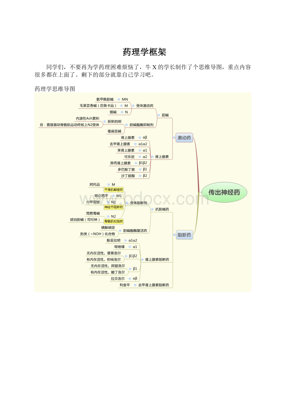 药理学框架.docx