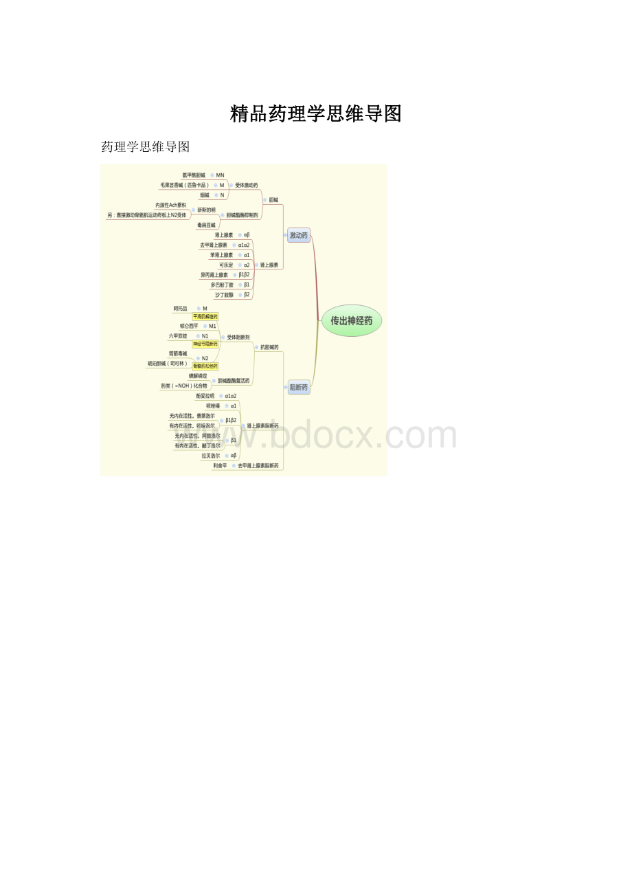 精品药理学思维导图.docx_第1页