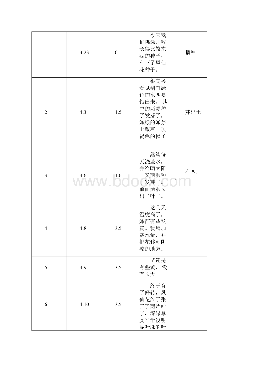 凤仙花生长记录Word文档下载推荐.docx_第3页