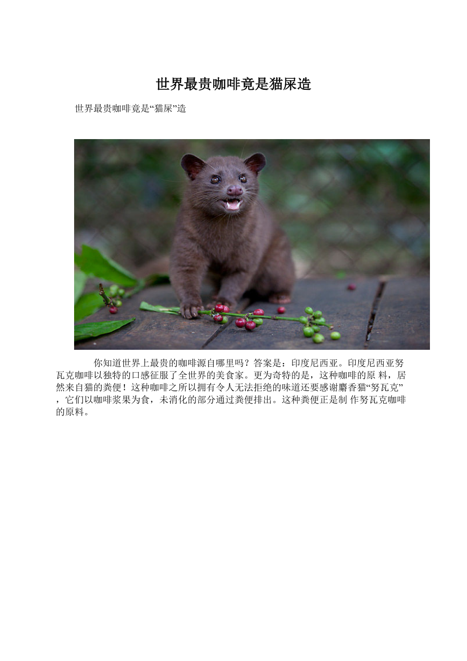 世界最贵咖啡竟是猫屎造Word文件下载.docx