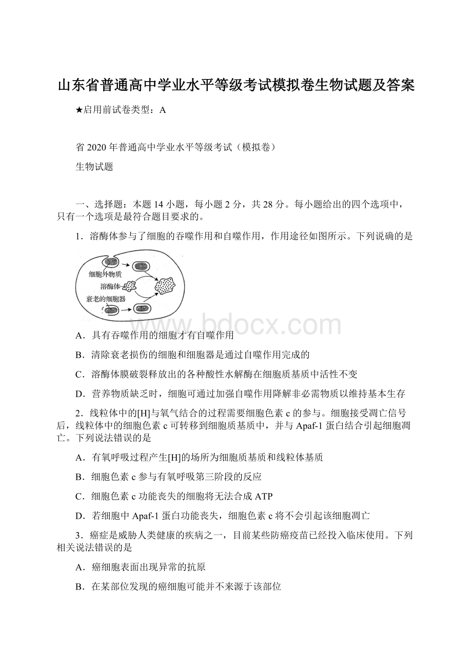 山东省普通高中学业水平等级考试模拟卷生物试题及答案.docx_第1页