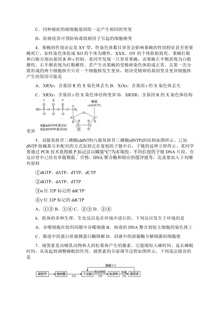 山东省普通高中学业水平等级考试模拟卷生物试题及答案.docx_第2页