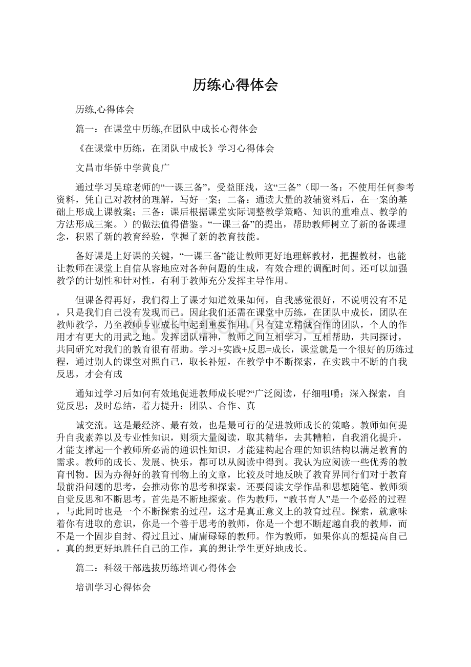 历练心得体会文档格式.docx