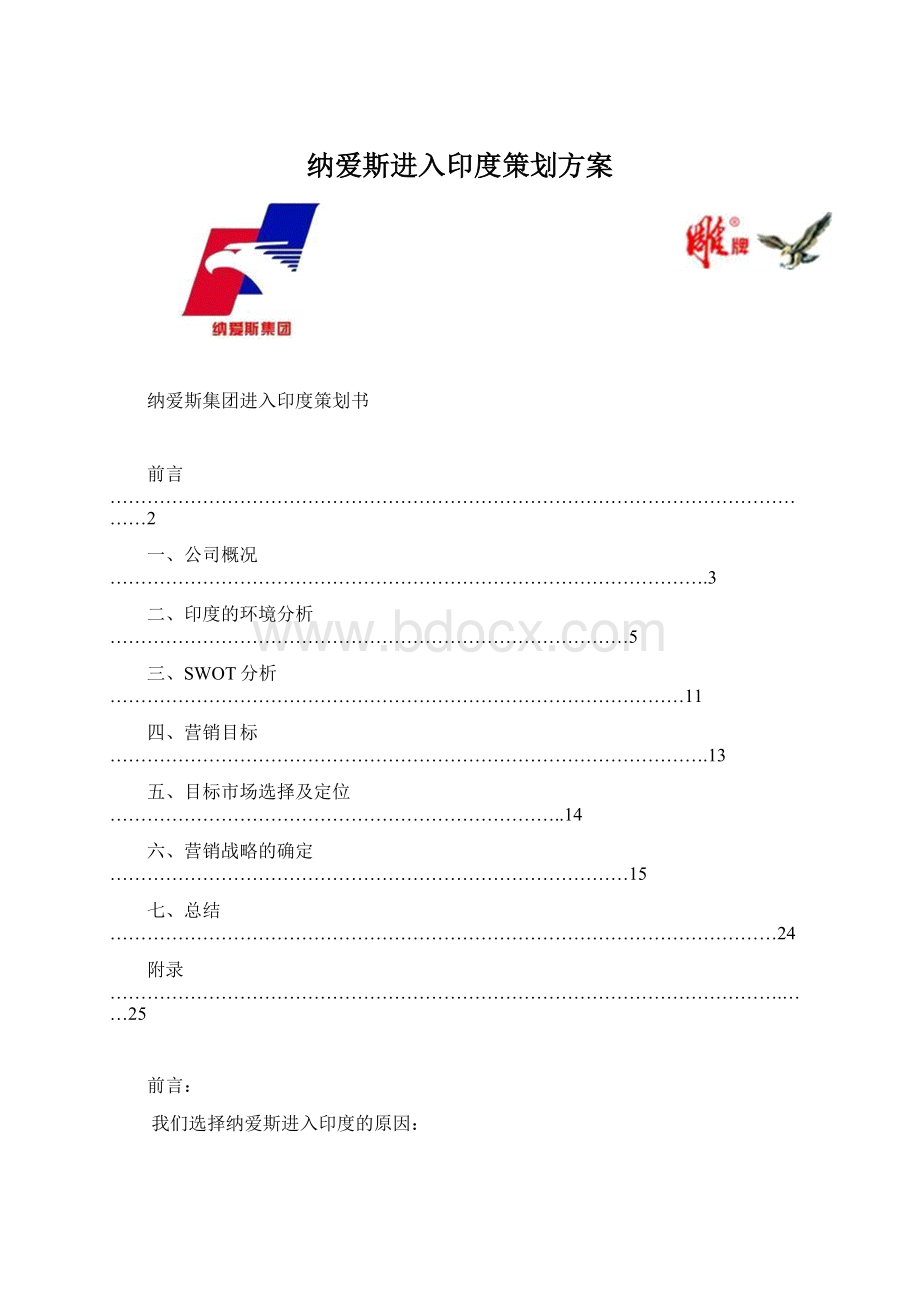 纳爱斯进入印度策划方案.docx_第1页