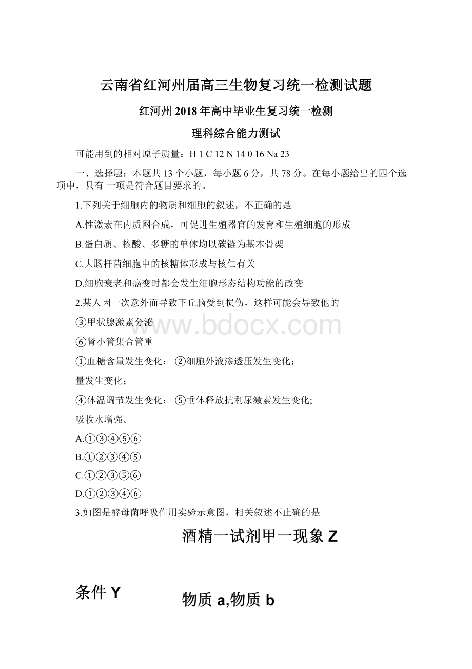 云南省红河州届高三生物复习统一检测试题Word下载.docx