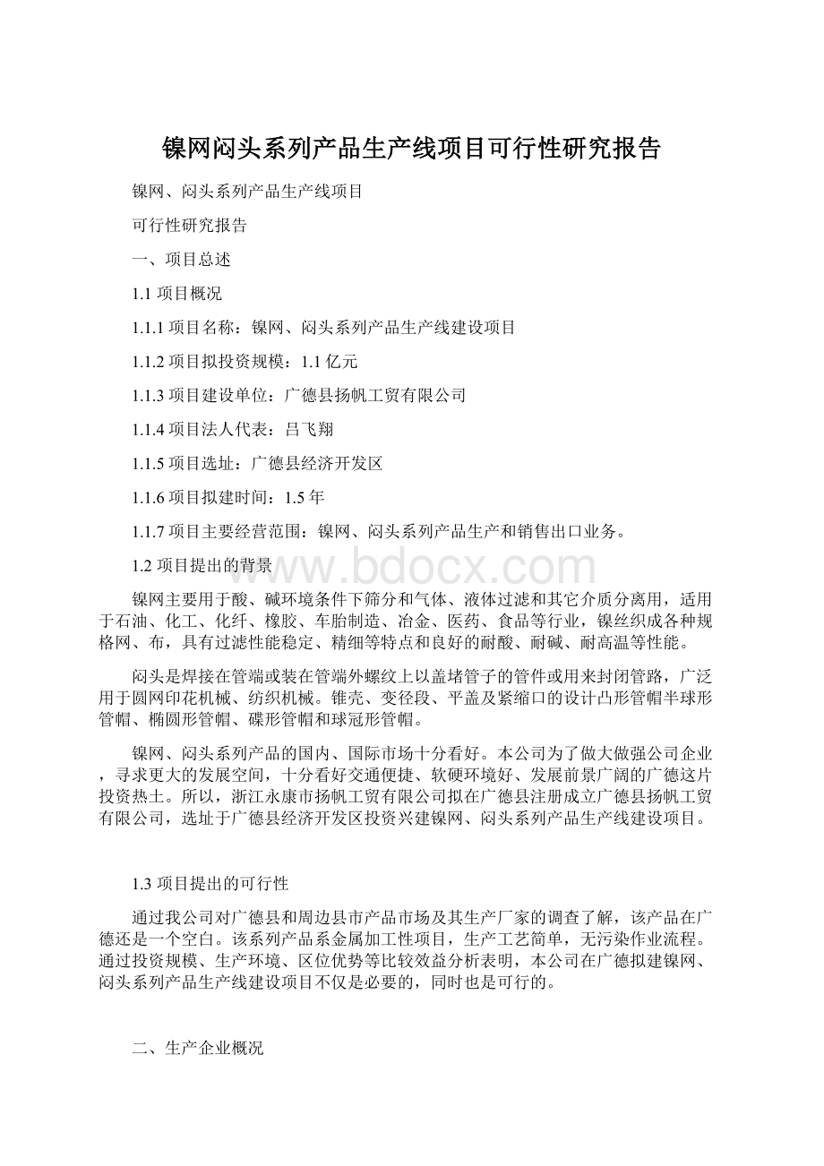 镍网闷头系列产品生产线项目可行性研究报告Word文档格式.docx_第1页