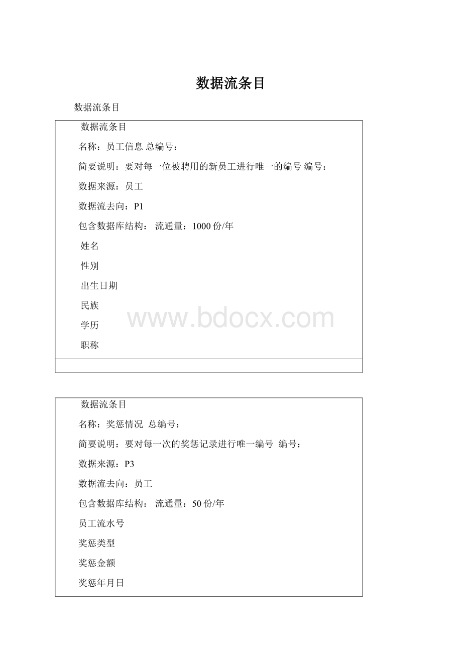 数据流条目Word格式文档下载.docx