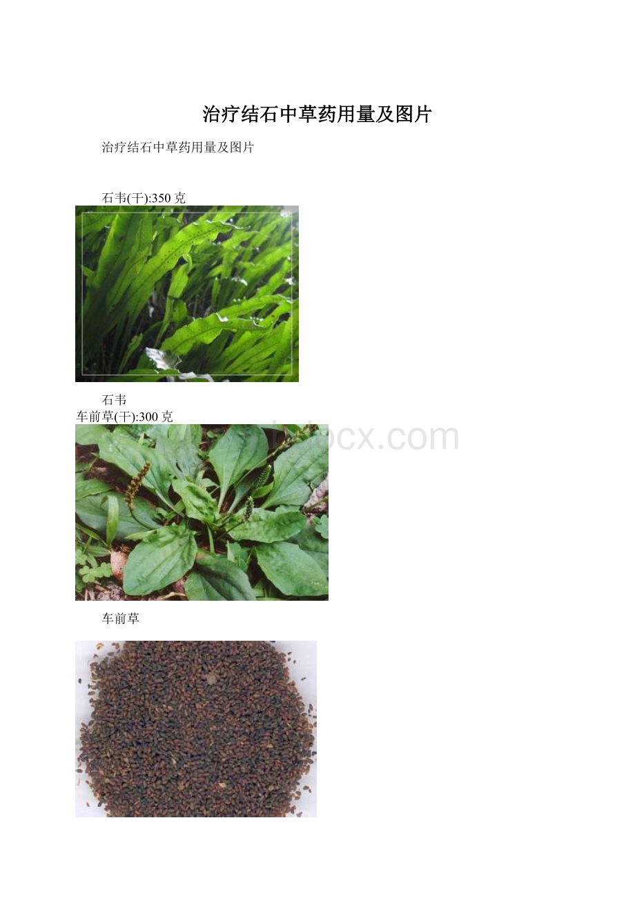 治疗结石中草药用量及图片Word文档下载推荐.docx