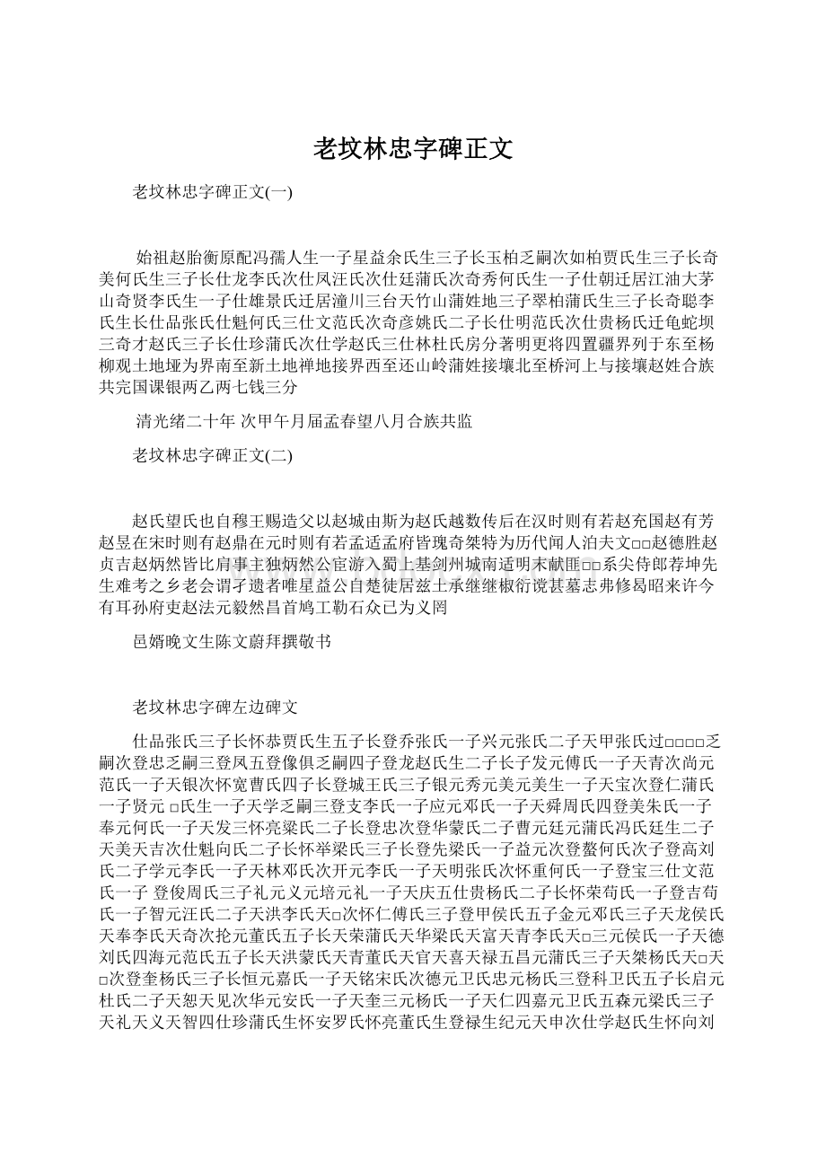 老坟林忠字碑正文.docx