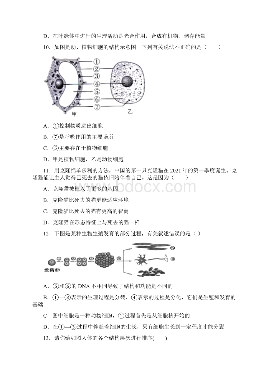 广东省梅州市大埔县田家炳实验中学七年级月考生物试题.docx_第3页