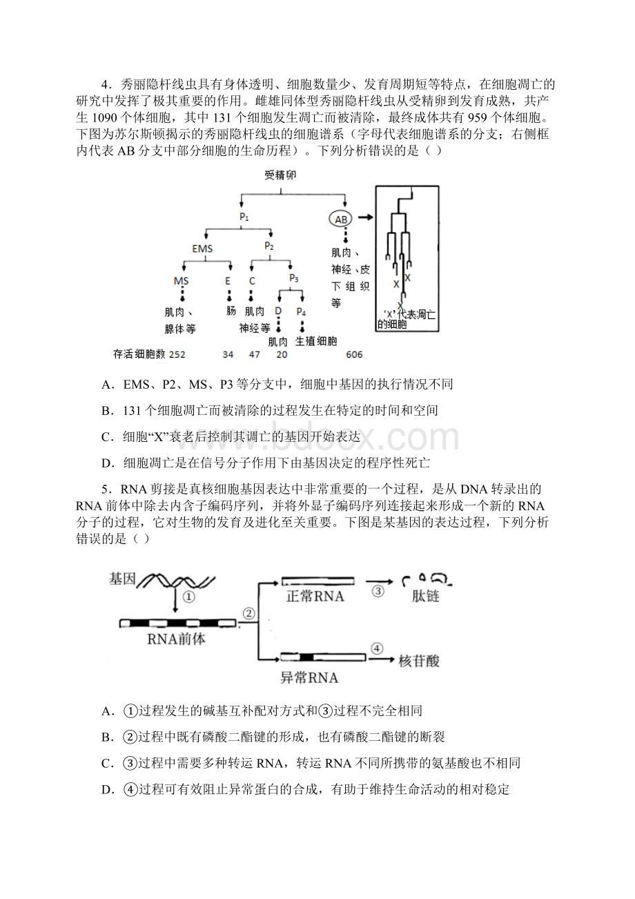 届山东省青岛市高三统一质量检测生物试题含答案解析.docx_第2页